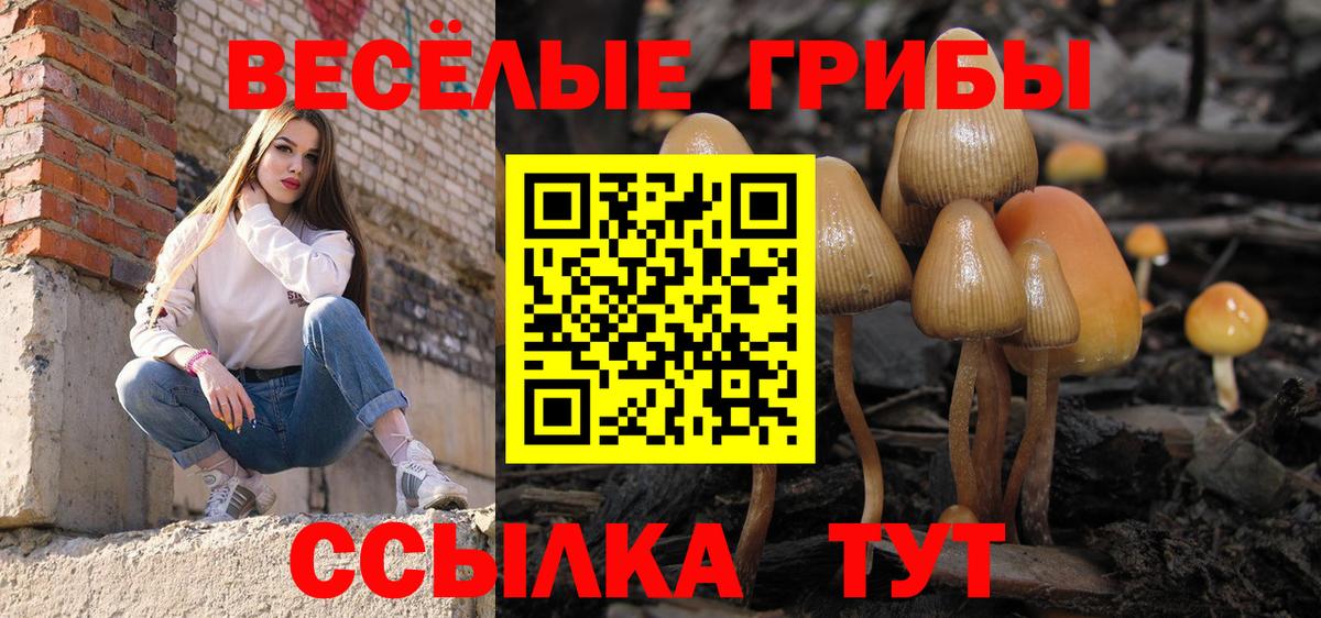 Лесной  Псилоцибиновые грибы мицелий  Вход с VPN 