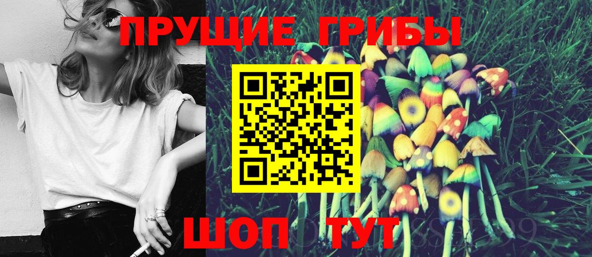 Псилоцибиновые грибы Psilocybine cubensis Лесной