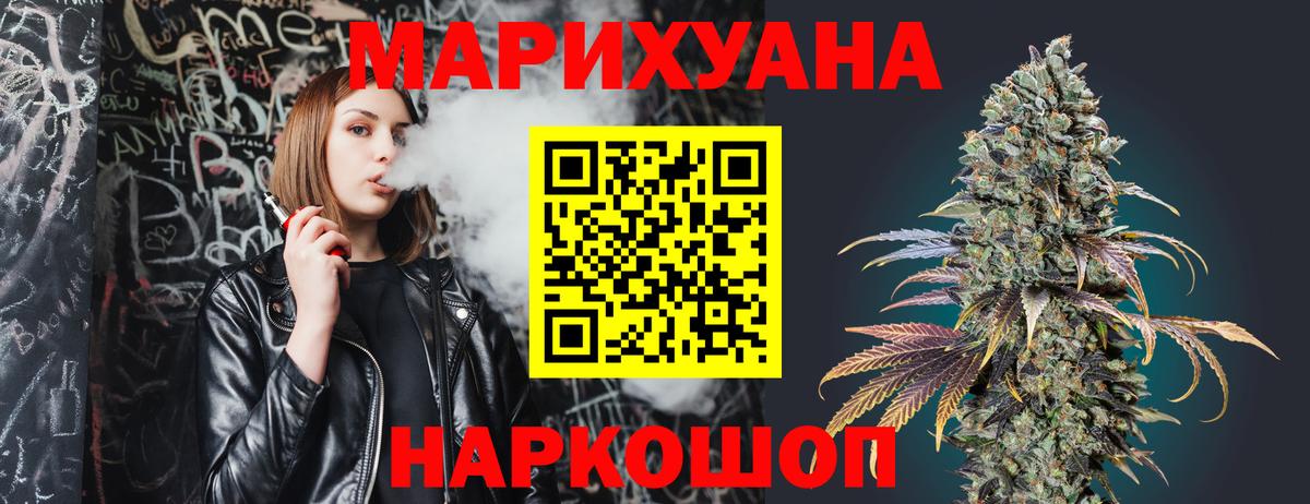 Конопля планчик Лесной